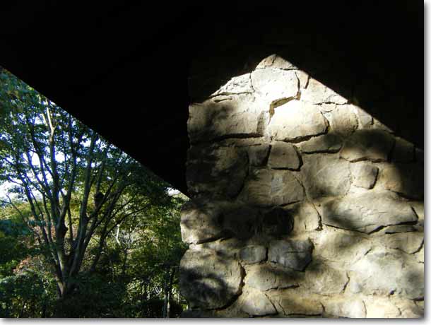 �H�̒������Εǂ��Ƃ炷