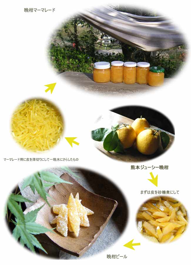 �ӊ�����}�[�}���[�h�ƃs�[�������