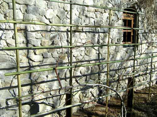 �o���̃V���[�g�𙒒肵�A�U�����Ċ���