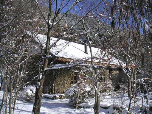 ����Ɛΐς݂̉�