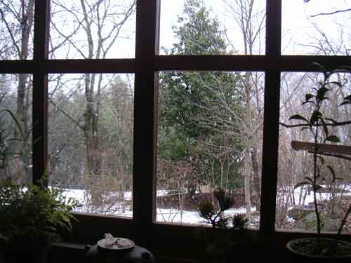 �����猩���~��i�F