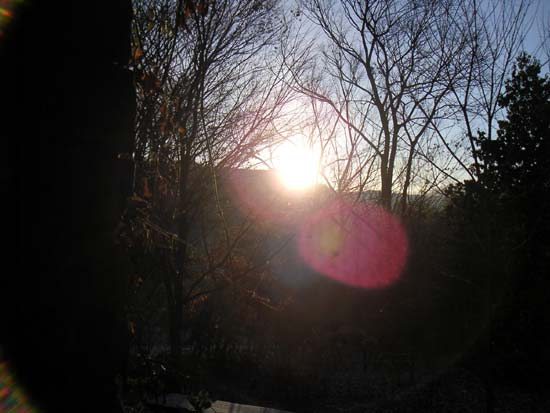 �O�R�����鏉���̏o