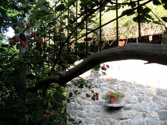 �u���b�N�x���[�̎�