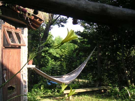 ���E�X�Q�z���̃n�����b�N