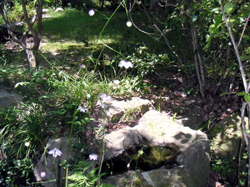 �����Q�V���E�}