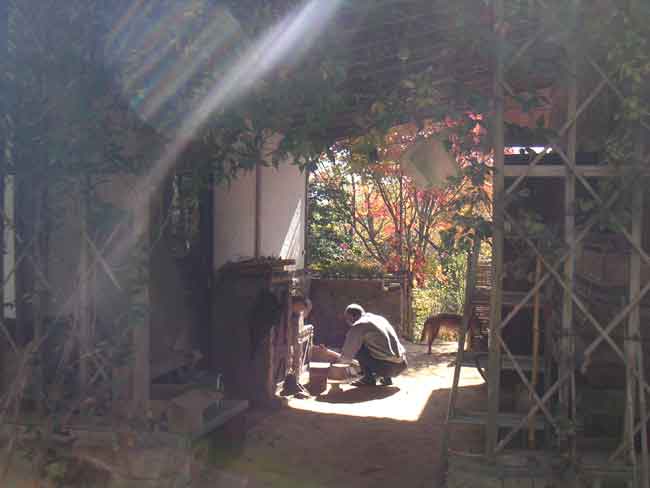 �����̂����p�ɃN���~�������Ă���Ƃ���