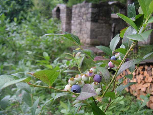 �u���[�x���[�Ɛi�s���̐ΐς݂̉�