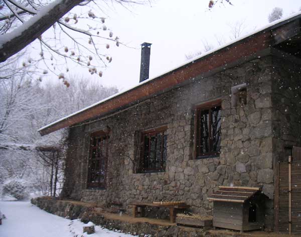 �ΐς݂̉Ƃɍ~���