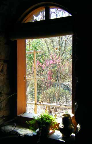 �����̑����猩��g�~�̐Ԃƃ_���R�E�o�C�̉��F