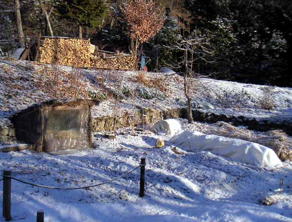 ��̓��̒��̔�