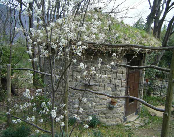 �W���[���x���[�Ɖ~���ΐς݂̏���