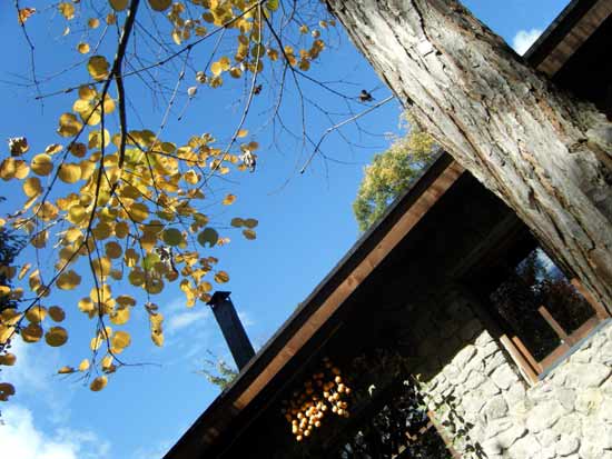 �J�c���Ɛ�