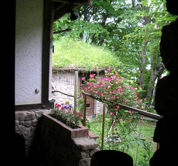 �䏊�̑����猩����o���A�J�N�e��