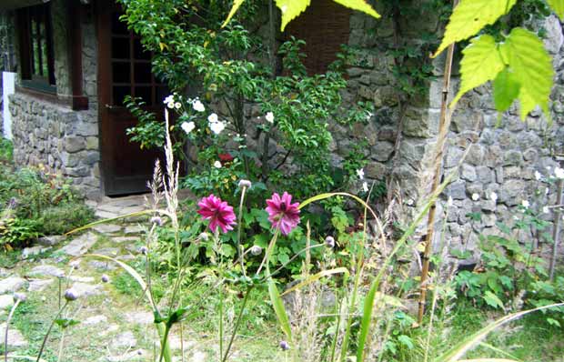 ���֑O�̃V���E���C�M�N�̔��d�Ɣ�