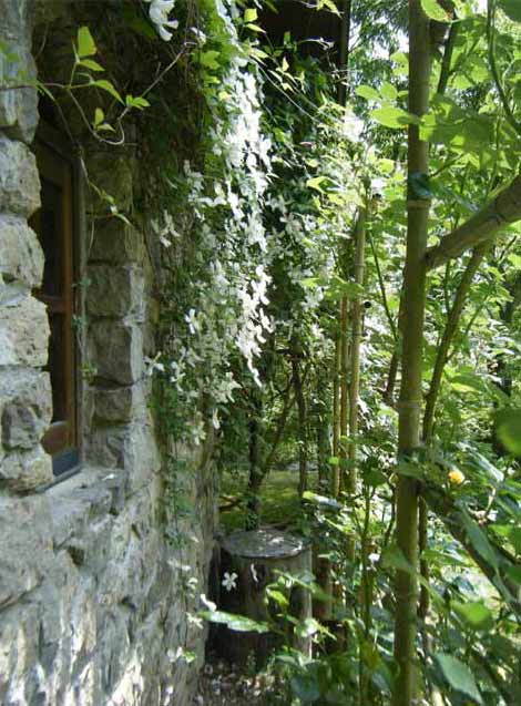 �����̐Εǂ̃N���}�`�X�Ƃ�o���̃t�F���X�̌���