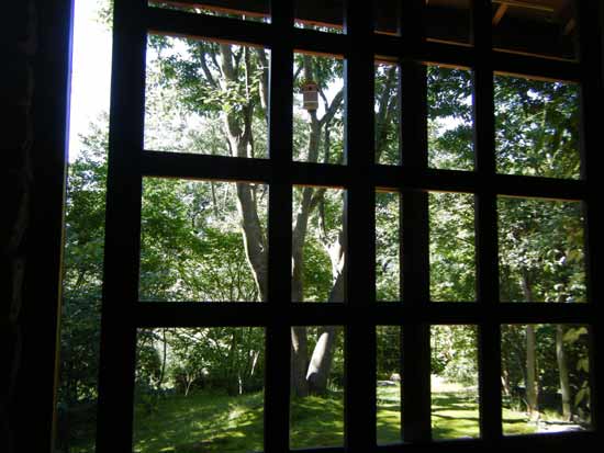 �Ƃ̑O�̃P���L�̖�