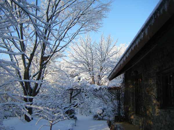 ���ꂽ���A��i�F