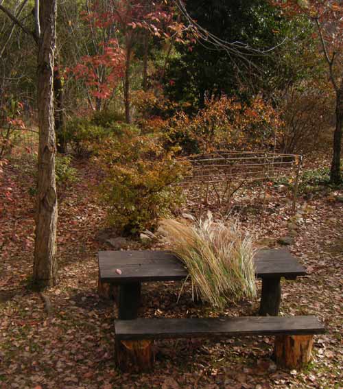 �C�g�X�X�L�̕�