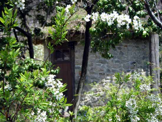 ���L���i�M�z���Ɍ���ΐς݂̊ۂ�����