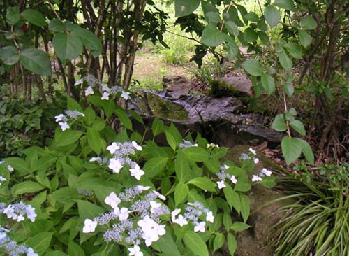 ���}�A�W�T�C�Ə����̐���