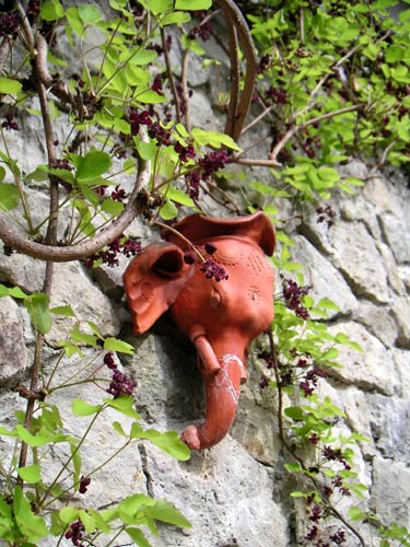 �K���E�A�P�r�̉�