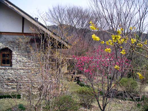 �g�~�ƃ����M���E���炭