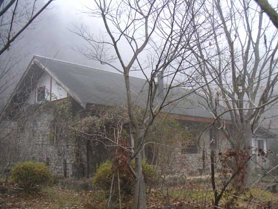 ������Ɛΐς݂̉�