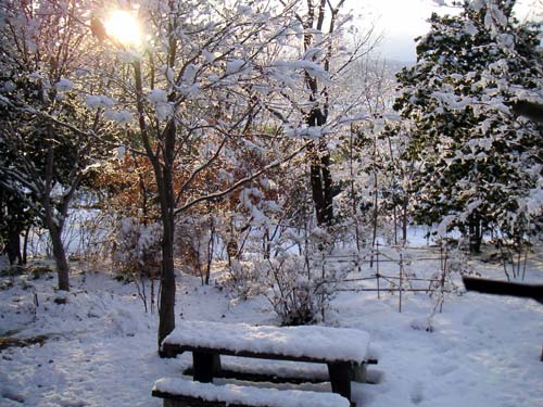 12���̏d����