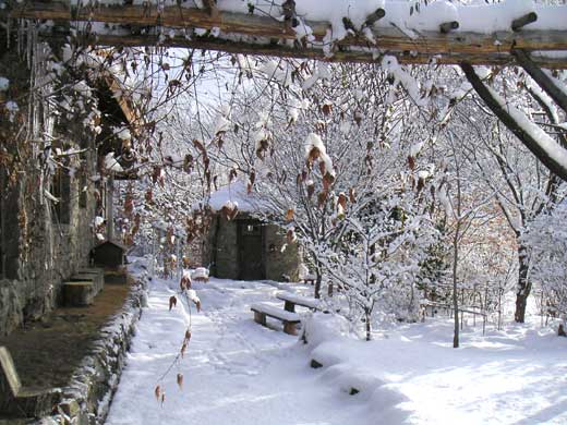 �A�[�`�z���Ɍ���A�ΐς݂̏����̐�i�F