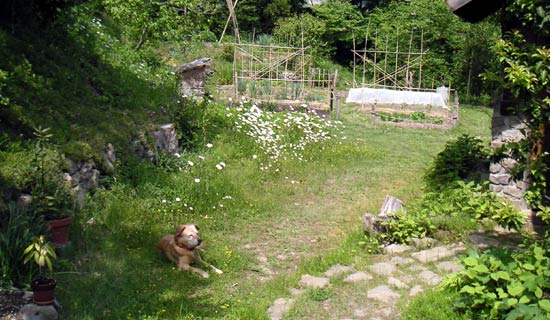 �����Ɣ�