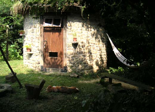 �����̖ڂ̓��A�ŐQ�錢