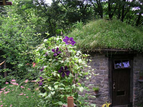 �~���΂̏����ƃW���b�N�}�j�[