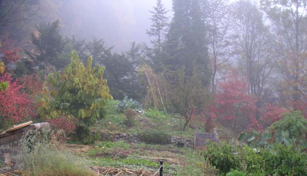 �����̔�