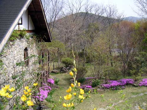 �ō��ƃ��}�u�L