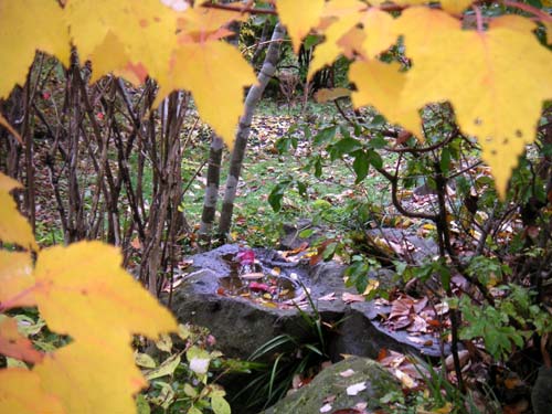 ����ɗ�����F�Ƃ�ǂ�̍g�t�����t