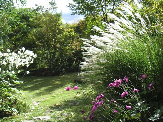 �C�g�X�X�L�ƏH���e