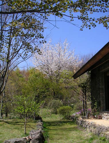 �K���E���}�U�N��