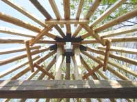 ����Ă����������