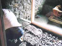 �����H��