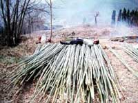 �؂����|�̏�ň�x��