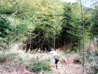 �|��Ԃ̊J��