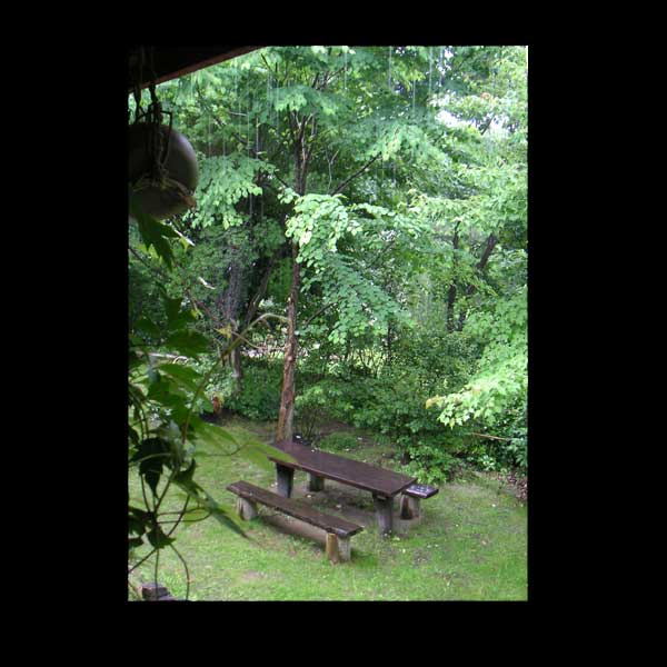 �������痎����J����z���̒�