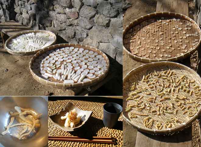 �؂花���卪���ł���܂�