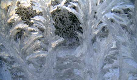 �X�̌����B