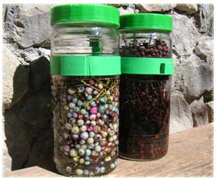 �m�u�h�E�̏Ē���