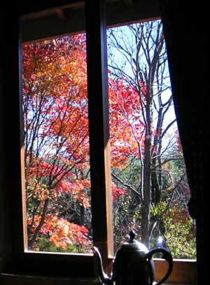 �L�b�`���̑����猩����I�I���}���~�W�̍g�t