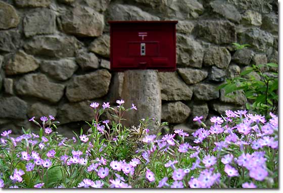 ���R��z�ő��������^�̃V�o�U�N��