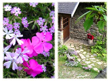 �V�o�U�N���ƗX�֎󂯂̂��錺�֎���