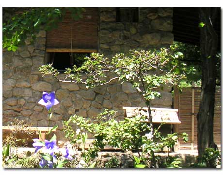 ������̉��������΂̉�