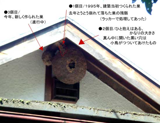 ���؂̉��ɍ��ꂽ�X�Y���o�`�̑�